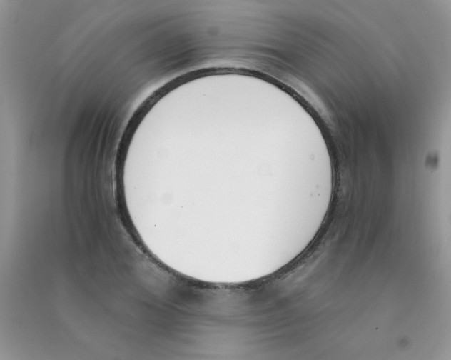 X0000090740980200708172004