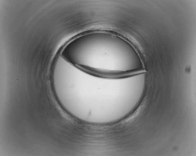 X0000090740981200708172004