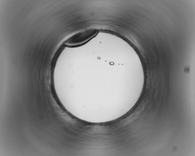 X0000090740984200708172004