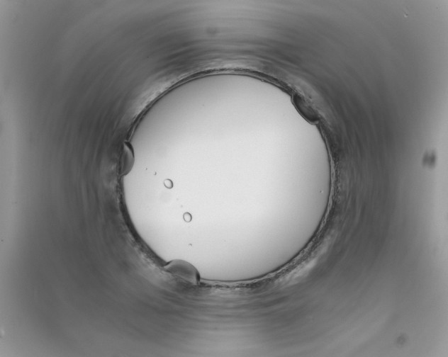 X0000090740985200708172004