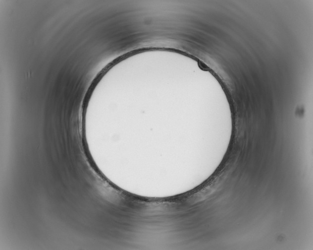 X0000090740988200708172004