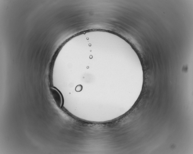 X0000090740991200708172004