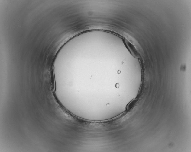 X0000090740993200708172004