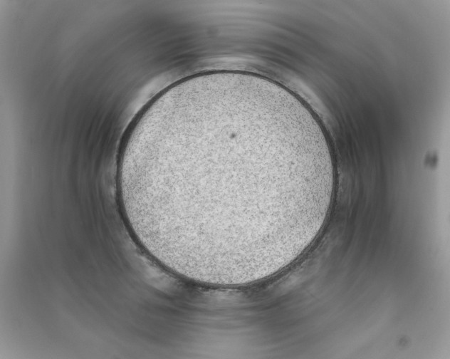 X0000090740994200708172004