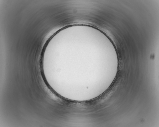 X0000090740995200708172004