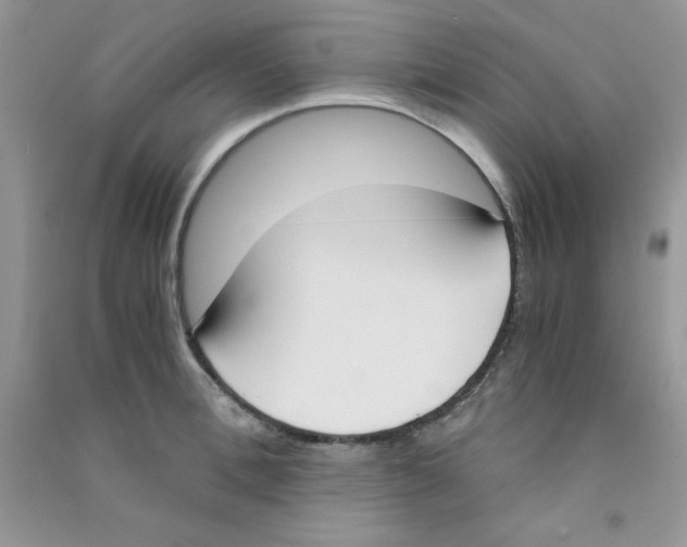 X0000090740996200708172004