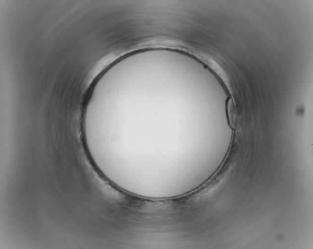 X0000090740997200708172004