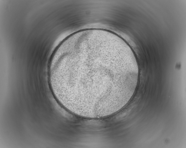 X0000090740998200708172004