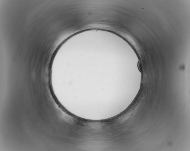 X0000090740999200708172004