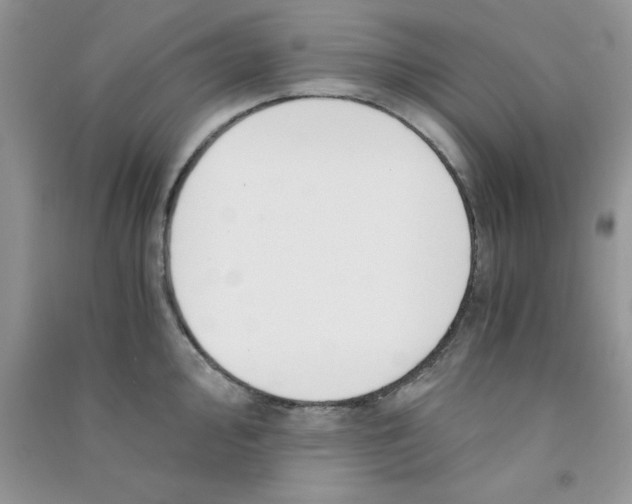 X0000090741000200708172004