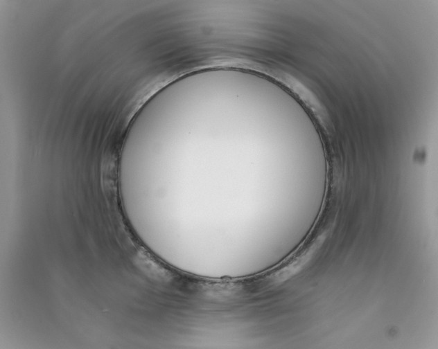 X0000090741001200708172004