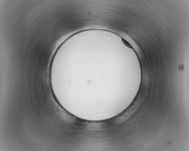 X0000090741004200708172004