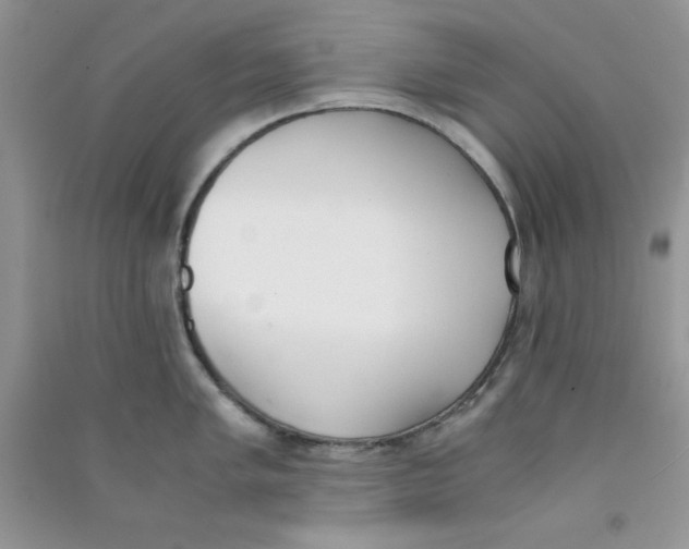 X0000090741005200708172004