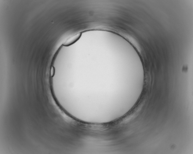 X0000090741007200708172004