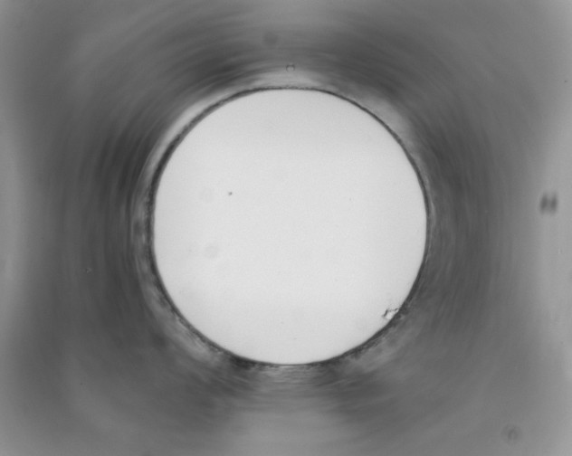 X0000090741008200708172004