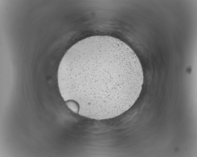 X0000090741009200708172003