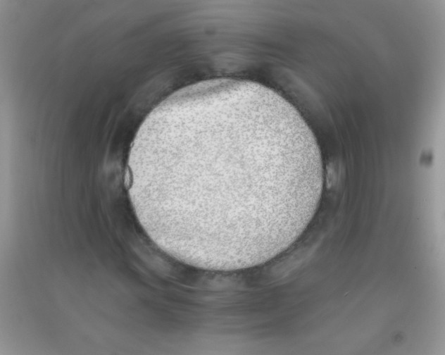 X0000090741011200708172003