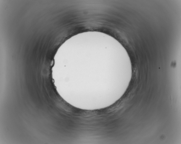 X0000090741012200708172003