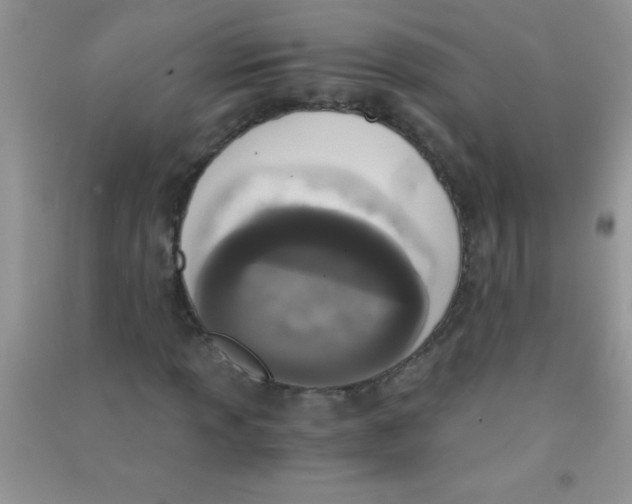 X0000090741013200708172003