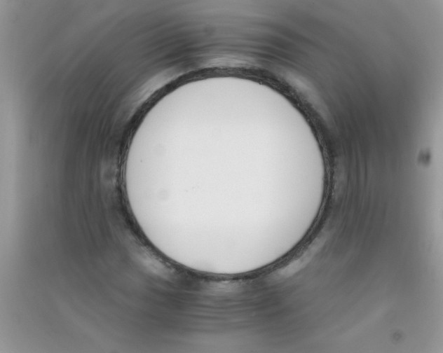 X0000090741017200708172003