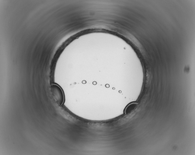 X0000090741020200708172003