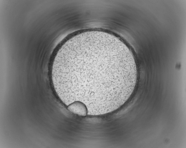 X0000090741023200708172003