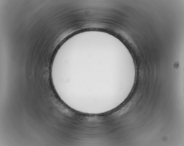 X0000090741025200708172003