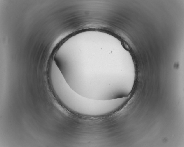 X0000090741026200708172003