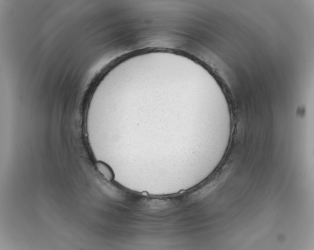 X0000090741027200708172003