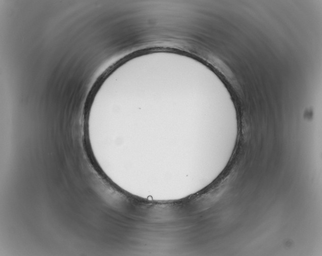 X0000090741028200708172003