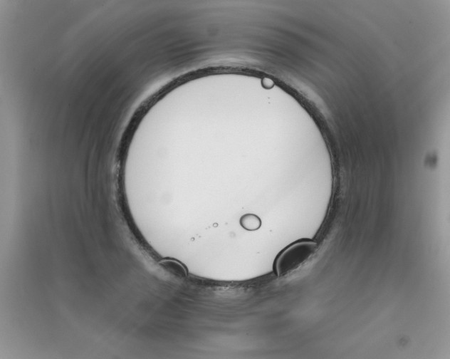 X0000090741029200708172003