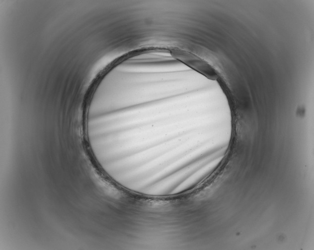 X0000090741030200708172003