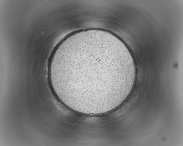 X0000090741031200708172003