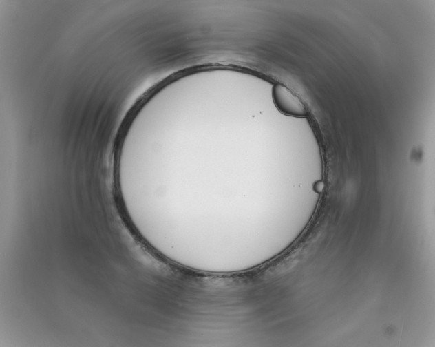 X0000090741032200708172003