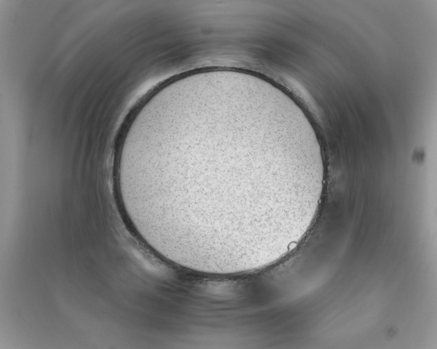 X0000090741035200708172003