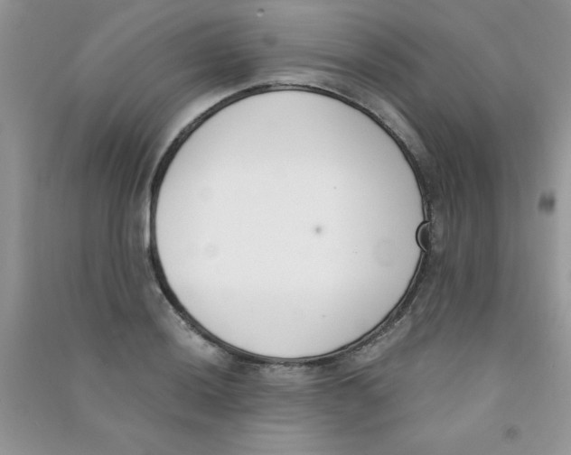 X0000090741036200708172003