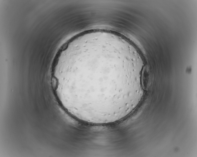 X0000090741037200708172003