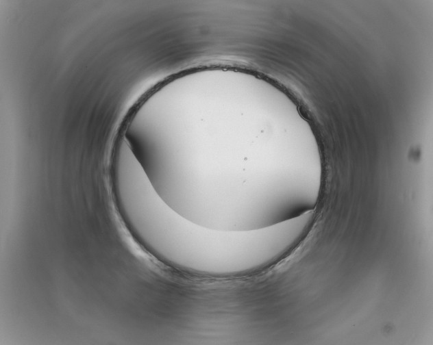 X0000090741038200708172003