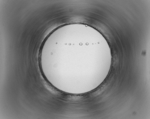 X0000090741039200708172003