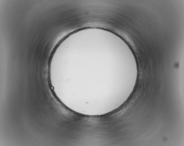 X0000090741040200708172003