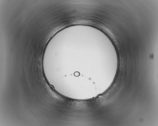 X0000090741041200708172003