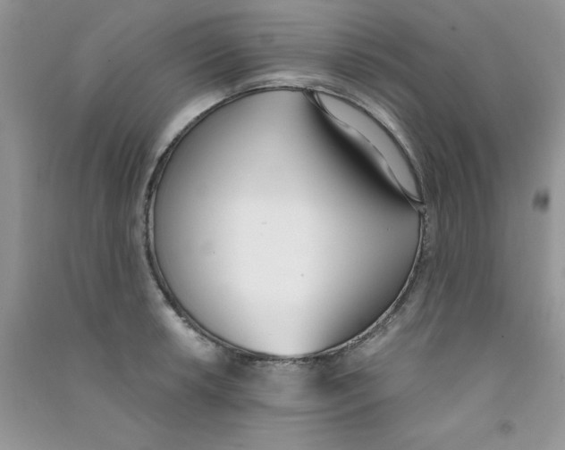 X0000090741042200708172004