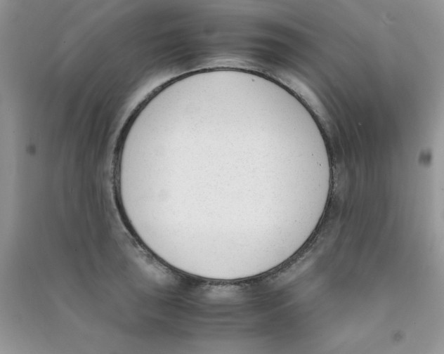 X0000090741043200708172004