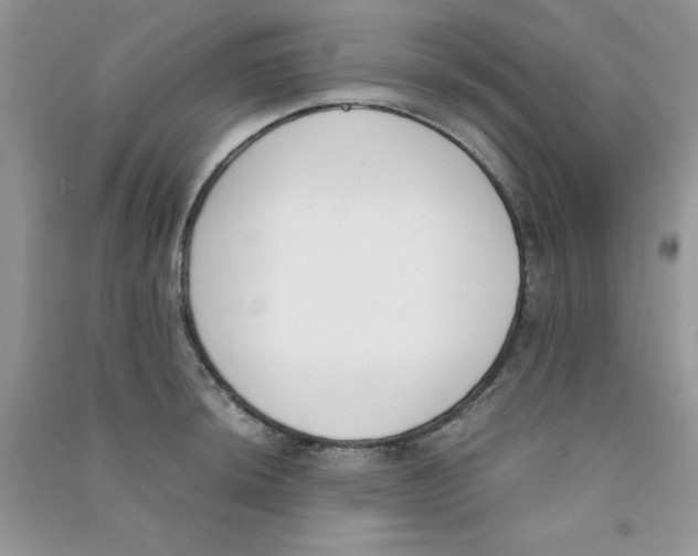 X0000090741044200708172004