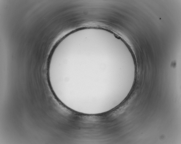 X0000090741045200708172004