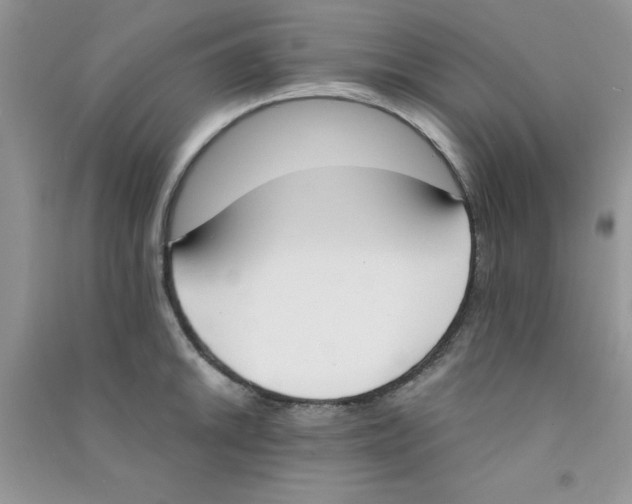 X0000090741046200708172004