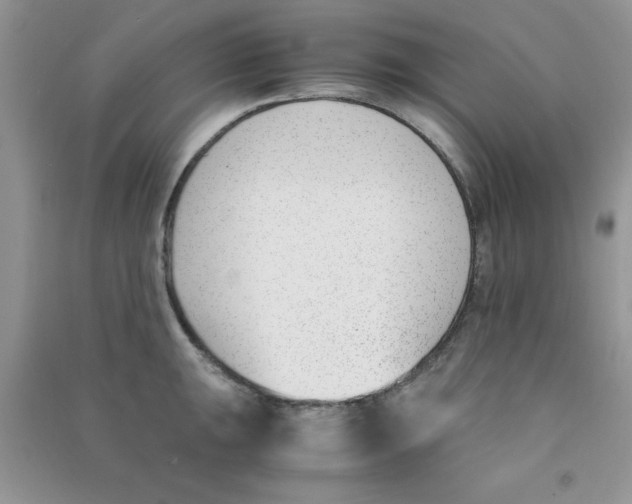 X0000090741047200708172004