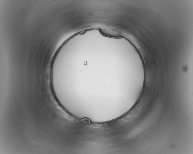 X0000090741048200708172004