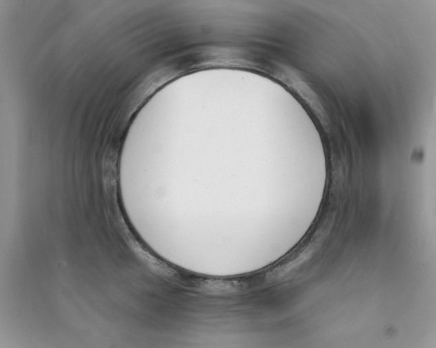 X0000090741049200708172004