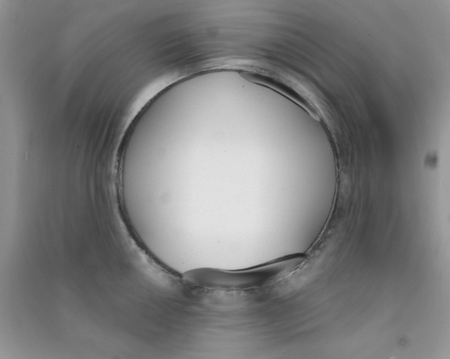 X0000090741050200708172004